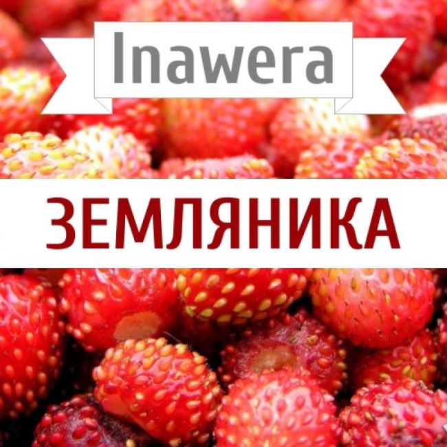 Inawera Земляника