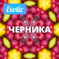 Exotic ЧЕРНИКА 10мл