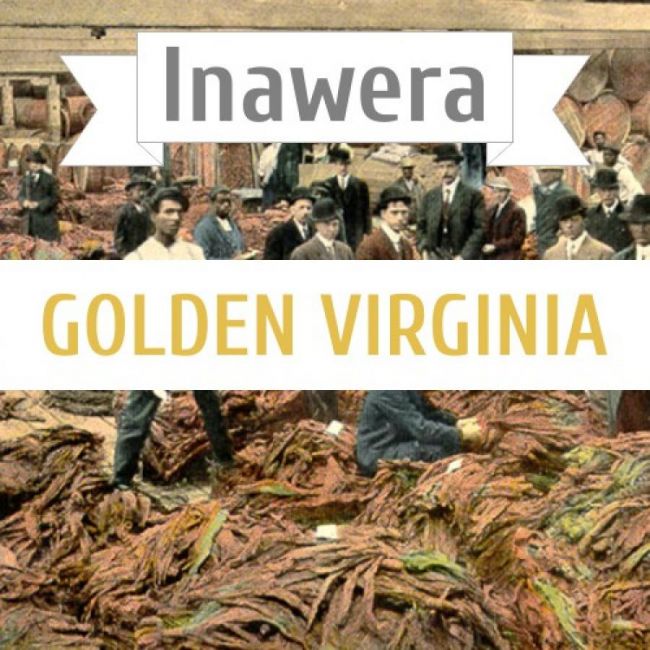 Inawera Golden Virginia