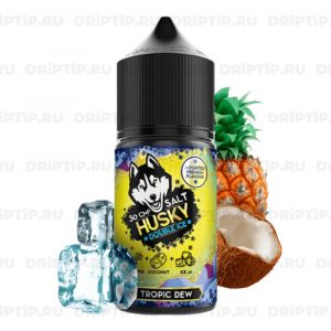 Husky Import Double Ice Salt - Tropic Dew