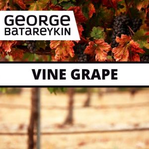 George Batareykin VINE GRAPE 10мл George Batareykin VINE GRAPE 10мл