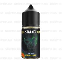 Stalker Salt - Portes Energy