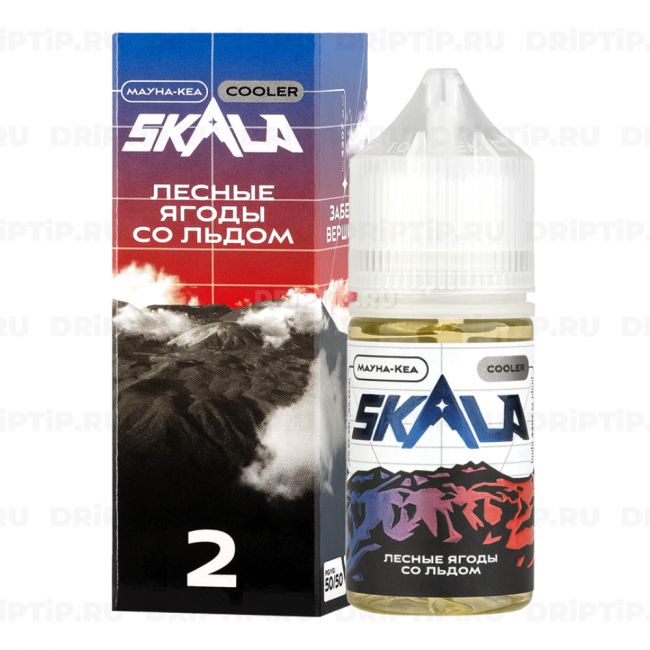 Жидкость Skala Salt - Лесные ягоды со льдом 