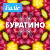 Exotic БУРАТИНО 10мл