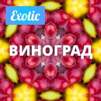 Exotic ВИНОГРАД 10мл